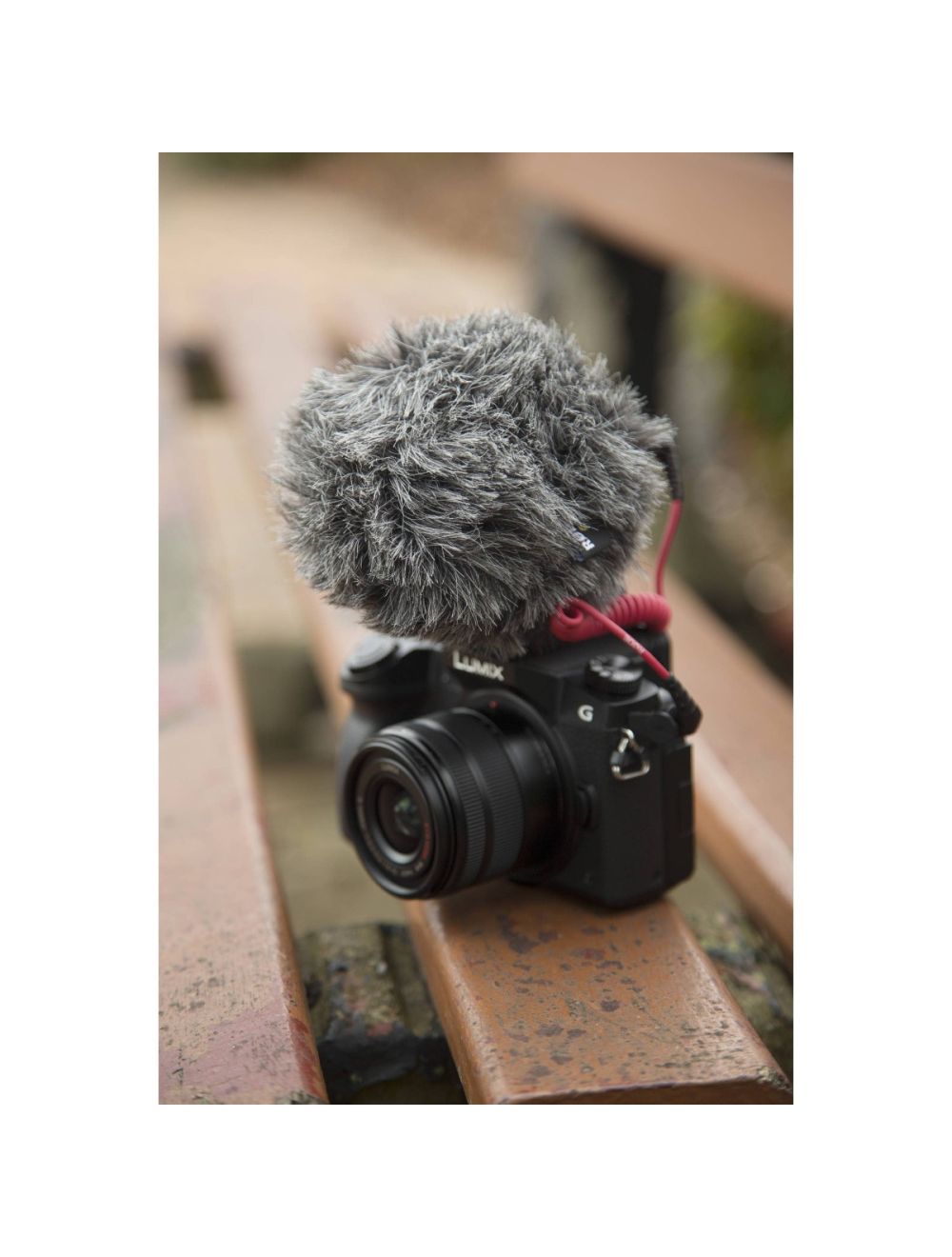 Rode Stereo VideoMic Pro Rycote On-camera Microphone SVMPR