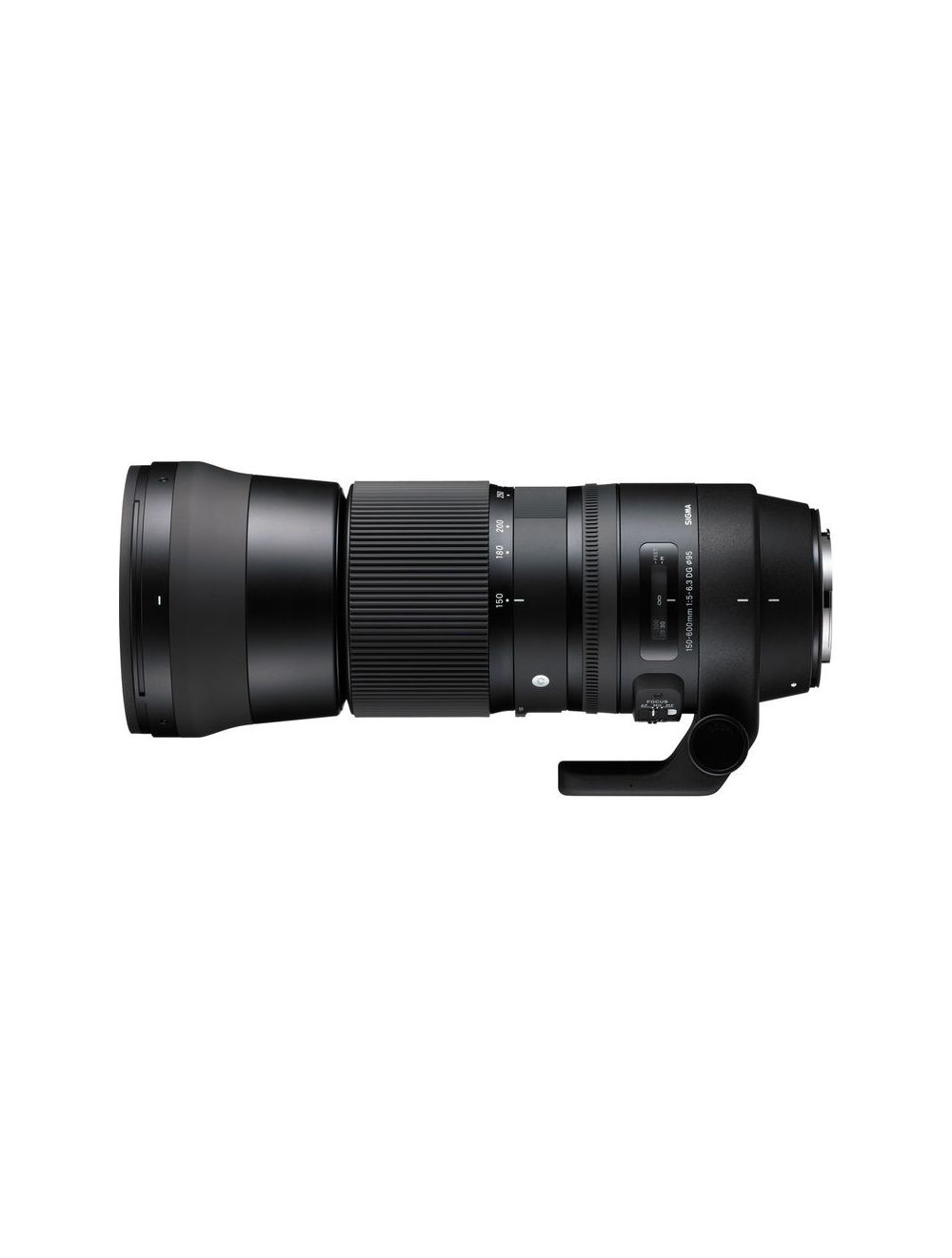 Sigma AF 150-600mm f/5-6.3 DG OS HSM Telephoto Zoom Lens Borge's